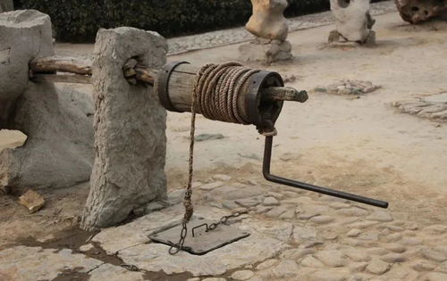 深山的堅守 知青與寡婦的愛情傳奇